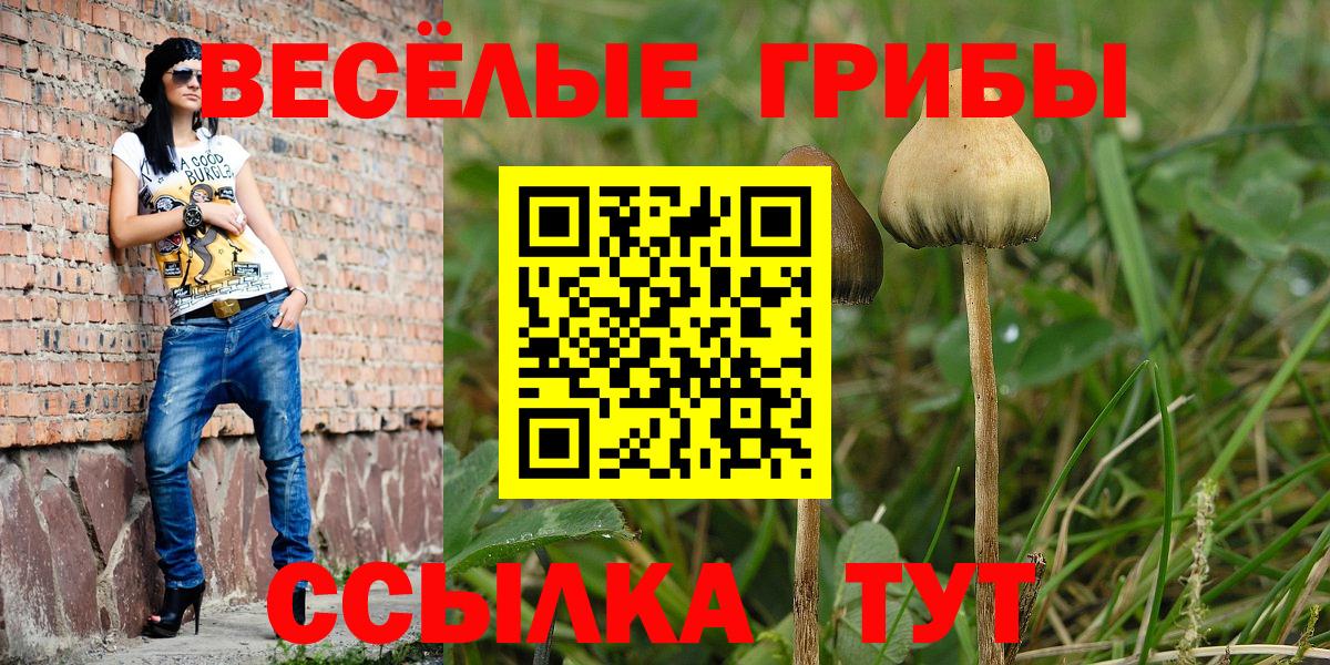Азнакаево  Псилоцибиновые грибы ЛСД  Вход с VPN 